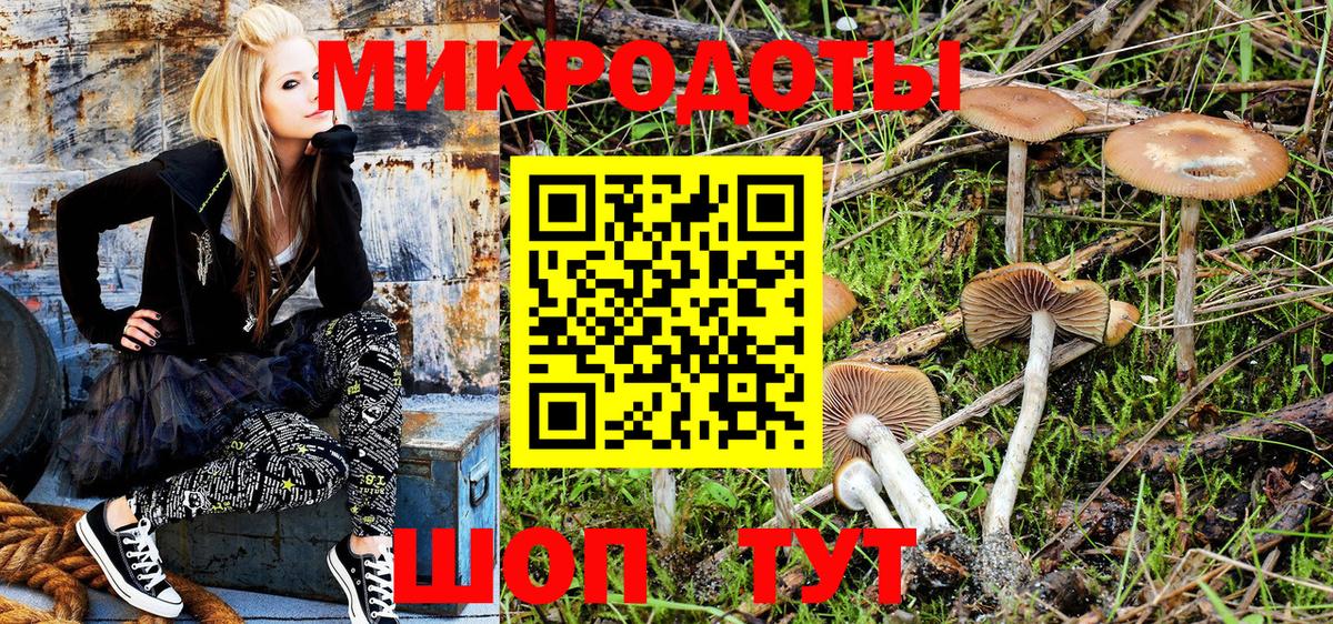 Псилоцибиновые грибы GOLDEN TEACHER  Псилоцибиновые грибы MAGIC MUSHROOMS  Вход с VPN  сколько стоит  Калуга 