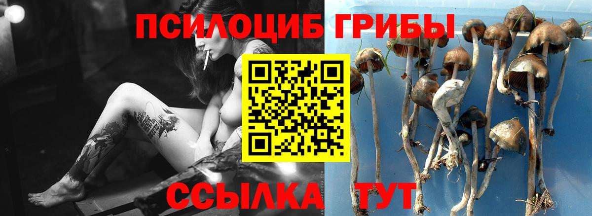 Галлюциногенные грибы GOLDEN TEACHER Калуга